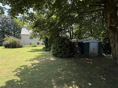 Picture 21